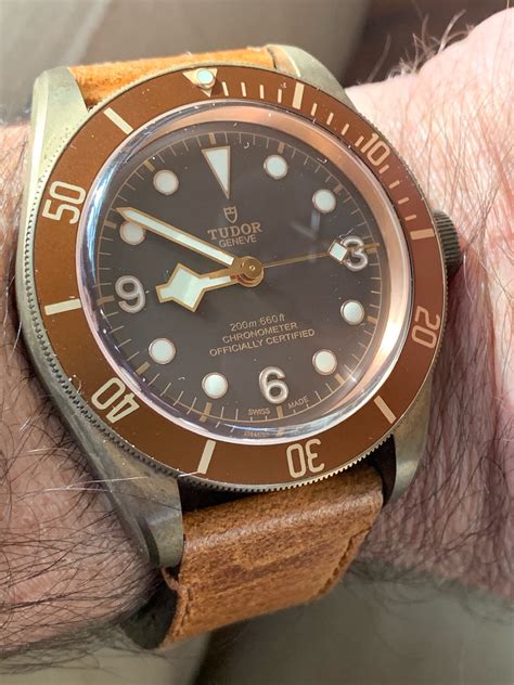 rolex bronze watch